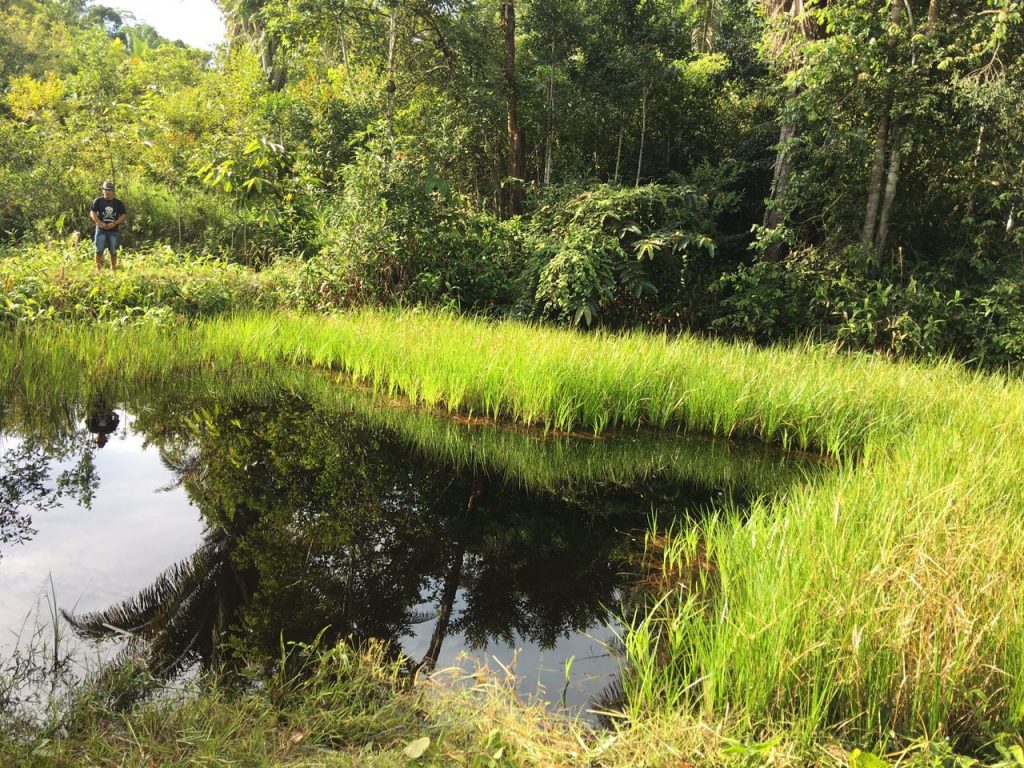 Foto van het groene meer waarin gedoopt werd